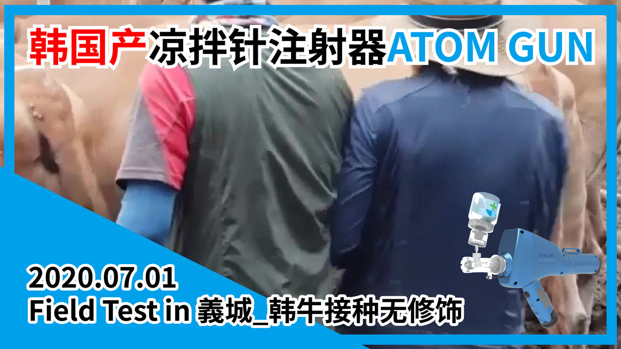 2020年7月1日 义城_韩牛接种_无修图_外国人